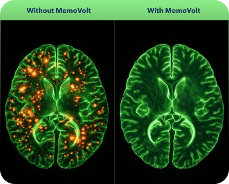 Memo Volt daily capsule routine for memory and focus support